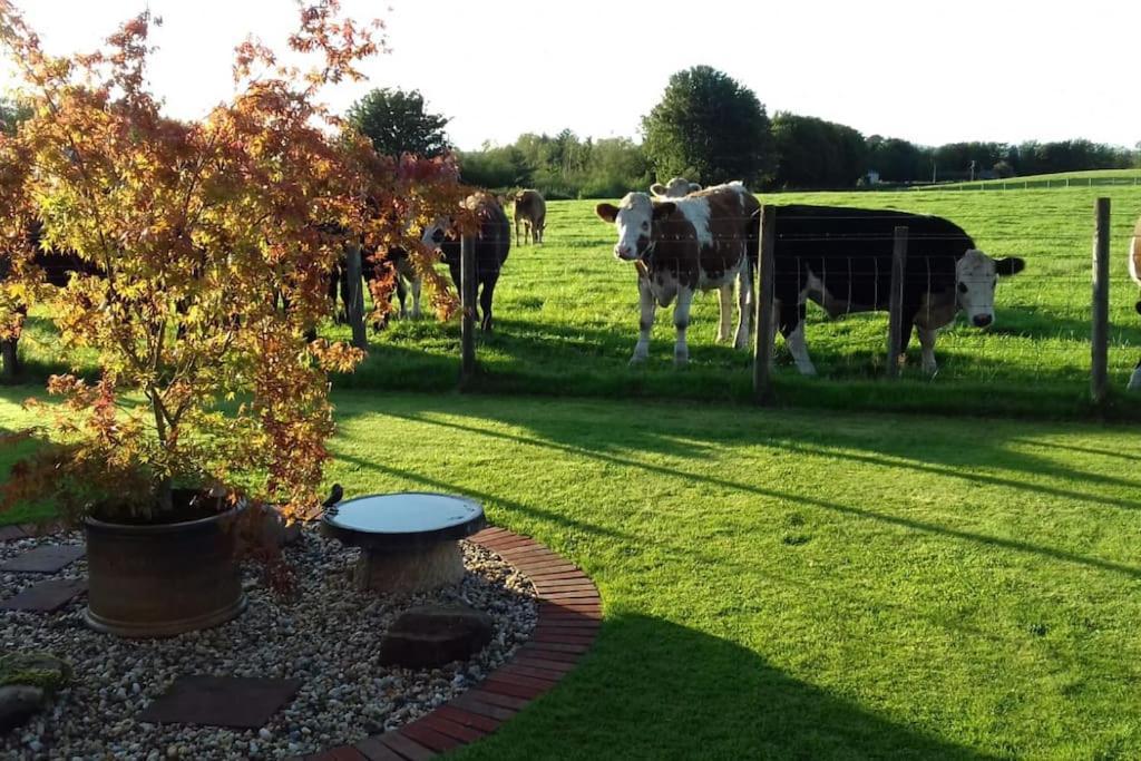 Courtyard Cottage Λόκερμπι Εξωτερικό φωτογραφία